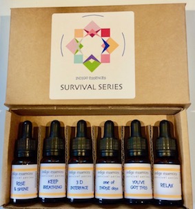 Indigo Survival Series Kit of 6 SPECIAL ORDER